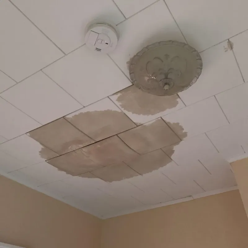 Ceiling Water Damage Repair in Azle, TX